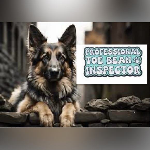 $1 DOG PIN/BROOCH. ENAMEL/METAL. NEW. $1 WITH ANY $10 ORDER OR MORE - Picture 1 of 16